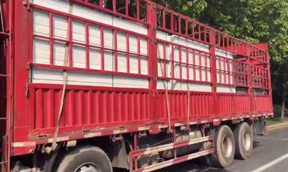 旭東PVC圍擋批發(fā)直供龍崗工地，2500米圍擋當(dāng)天閃電送達(dá)